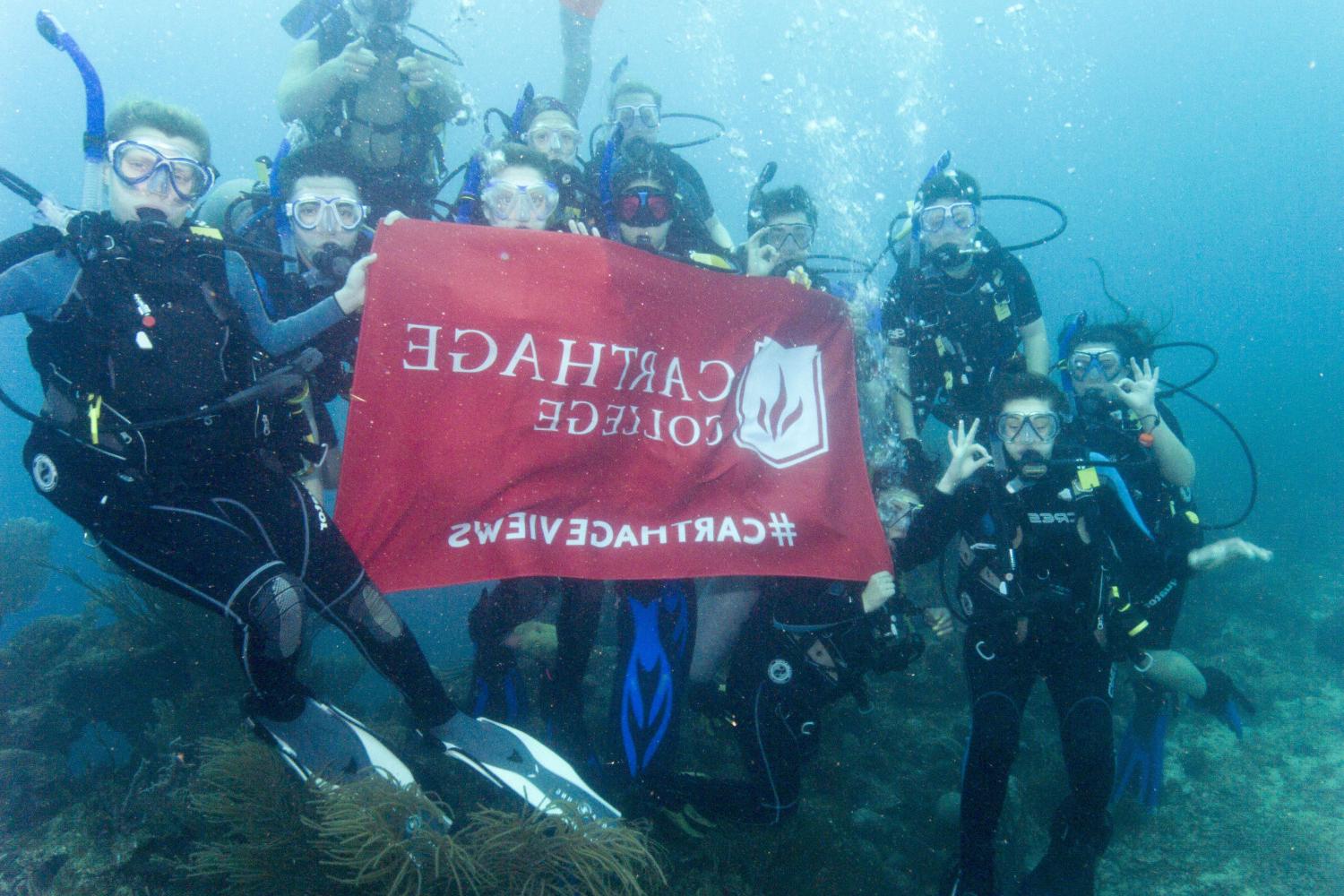 学生们手持<a href='http://dt9a2.0099fff.com'>bv伟德ios下载</a>旗帜，在j学期洪都拉斯游学之旅中潜水.